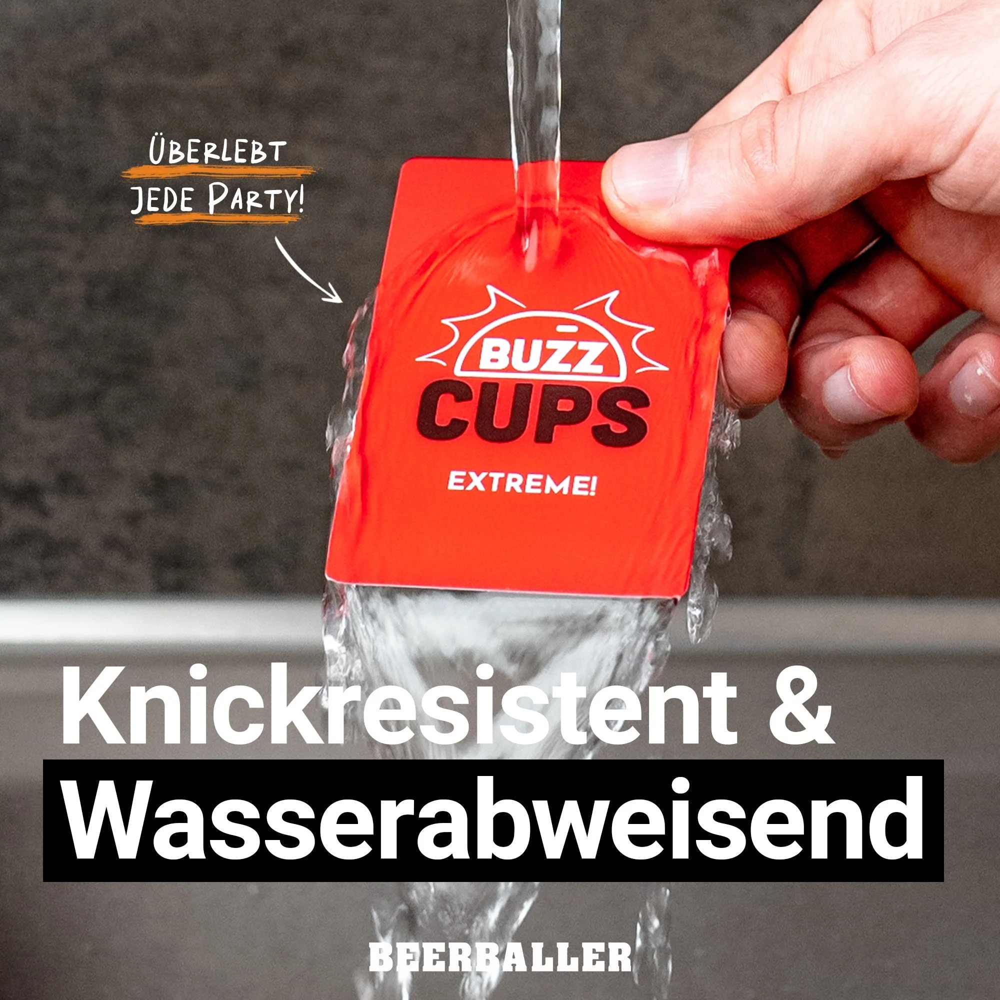 Vorschaubild 8